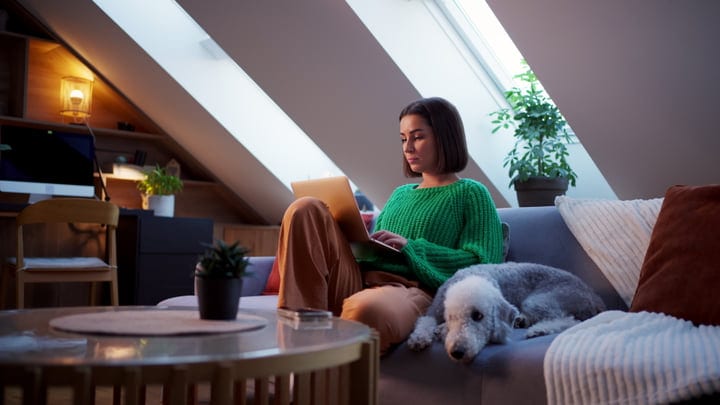 Cozy Evening With Laptop And Loyal Companion At Home