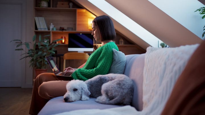 Woman Enjoys Cozy Evening With Dog And Laptop
