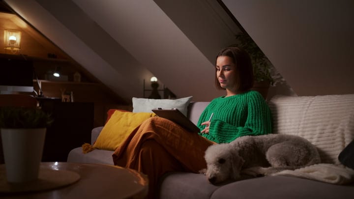 Quiet Evening With A Tablet And A Cozy Companion