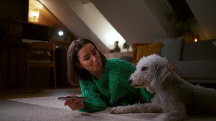 Cozy Evening Bonding With Her Furry Companion Indoors