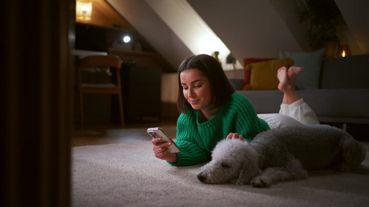 Cozy Moments With Her Phone And Furry Friend At Home