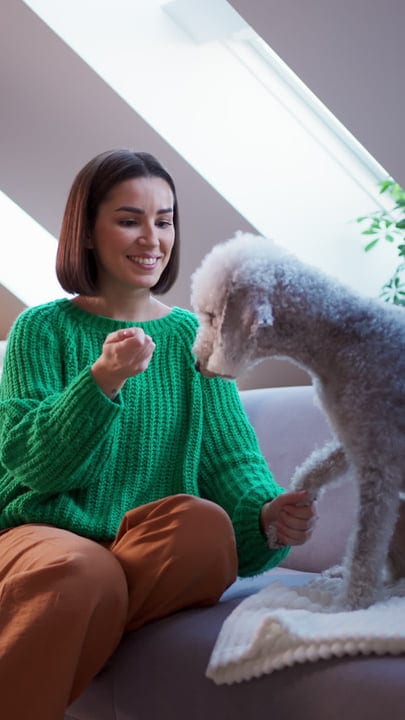 A Cozy Afternoon With Her Furry Companion At Home