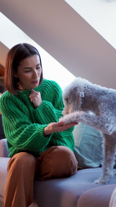 Woman in Cozy Sweater Bonds with Her Dog at Home