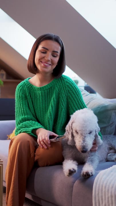 Cozy Afternoon With A Furry Friend At Home