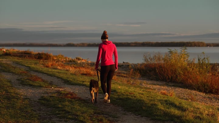 Woman Walking Her Dog On A Path Beside A River At Sunset