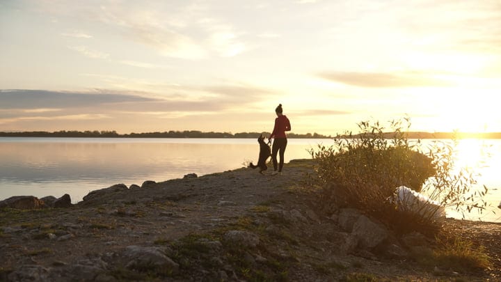 Active Woman And Her Dog Running Along Lake Shore During Beautiful Sunset