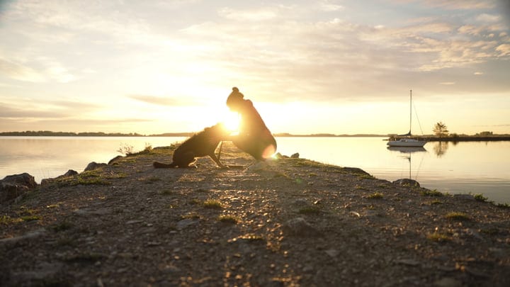 Sunrise Companions: A Woman and Her Dog by the Lake
