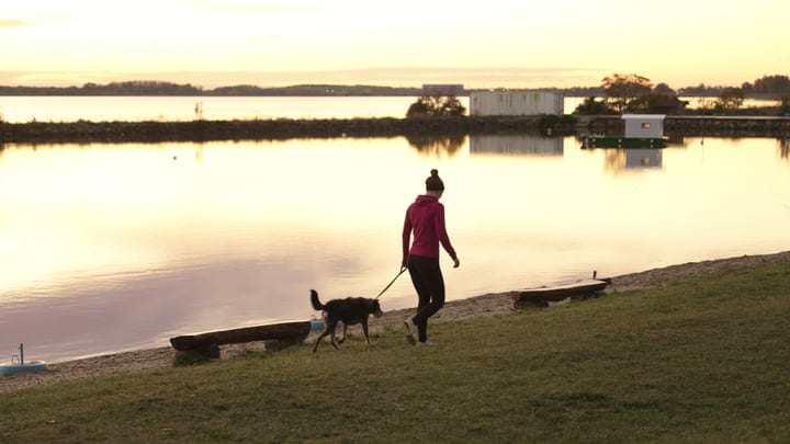 Young Woman Walking Her Dog Along Lake Shore At Sunset