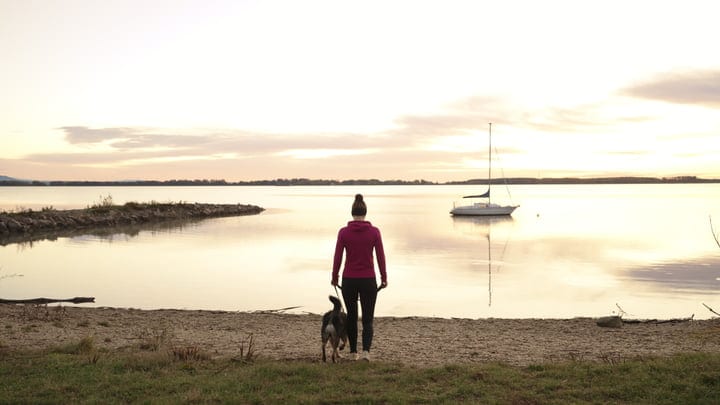 Morning Reflections: Woman And Dog By The Lake