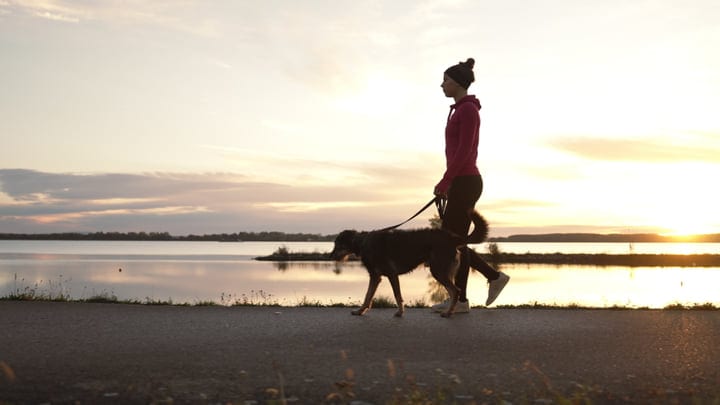Woman And Her Dog Walking On Lakeside Trail During Evening Glow
