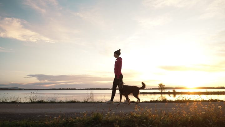 Woman And Dog Walk Beside A Calm Lake As The Sun Rises