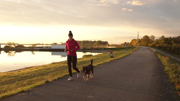 Woman In Athletic Wear Jogging With Her Dog On Path By Water At Golden Hour
