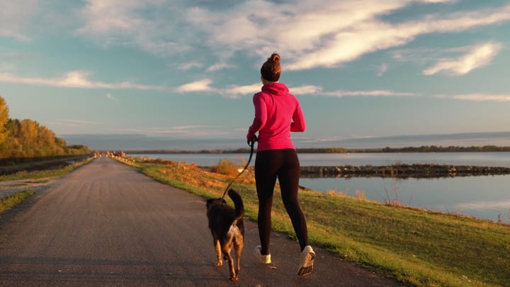 Golden Hour Jog: Woman and Dog on Riverside Path