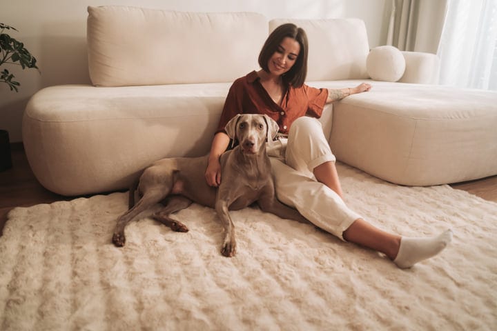 Young Woman Relaxing On Cozy Living Room Floor With Her Weimaraner Dog