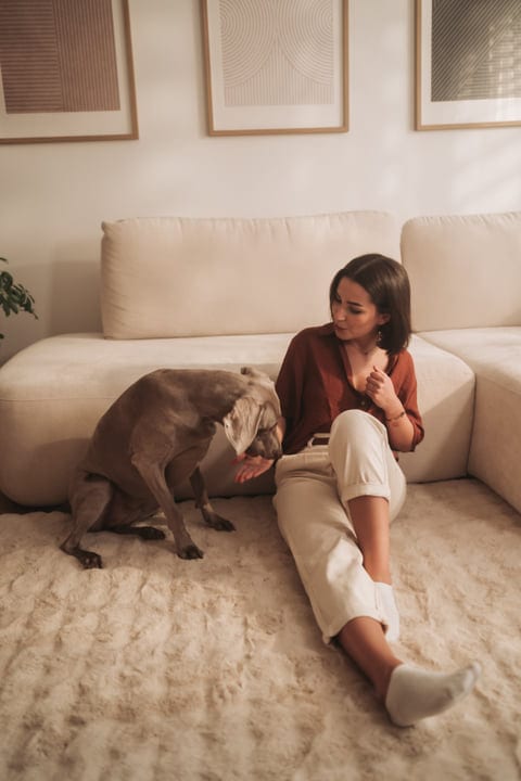 Woman Sits On Rug Petting Her Weimaraner Dog Indoors