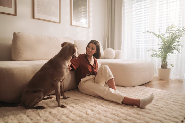 Young Woman Interacting With Her Dog In A Bright Living Room