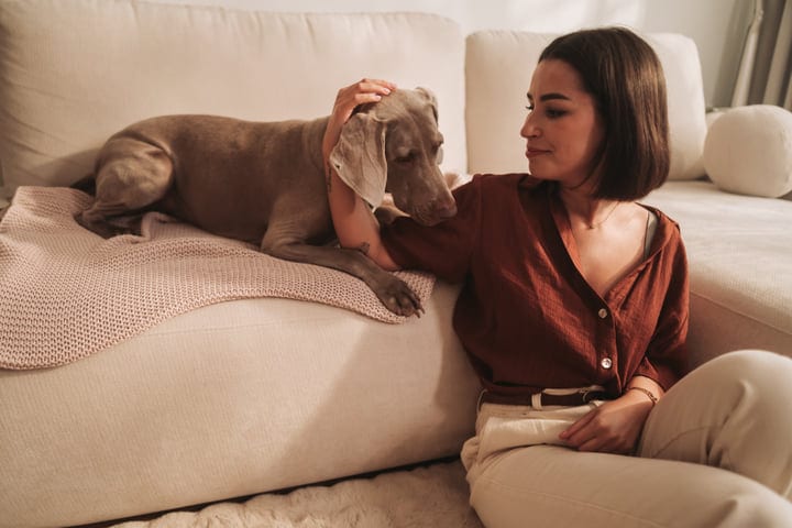 Relaxed Woman Strokes Her Dog On A Sofa During Her Morning Routine