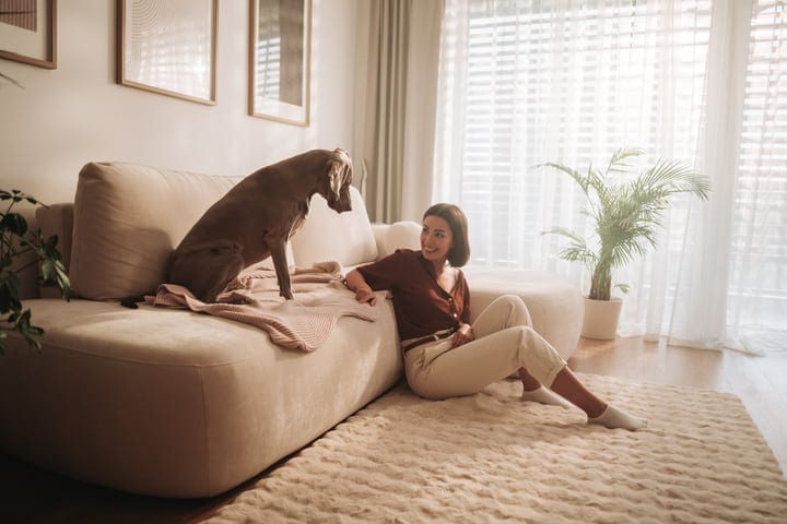 Woman Interacts With Her Pet Dog On Couch In A Bright Modern Living Room