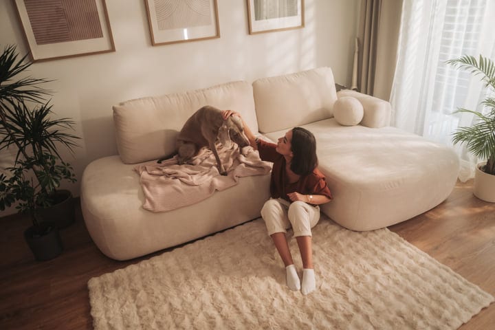 Woman Petting Her Dog While Relaxing On A Sofa In A Bright Living Room