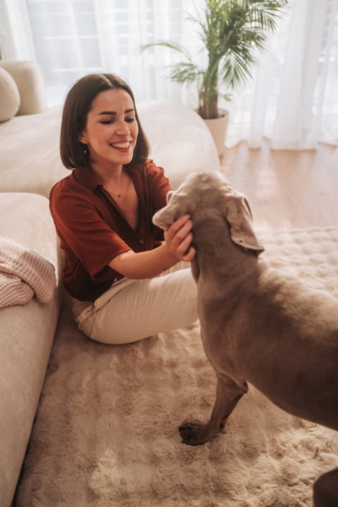 Young Woman Sitting On Rug Petting Her Weimaraner Dog At Home