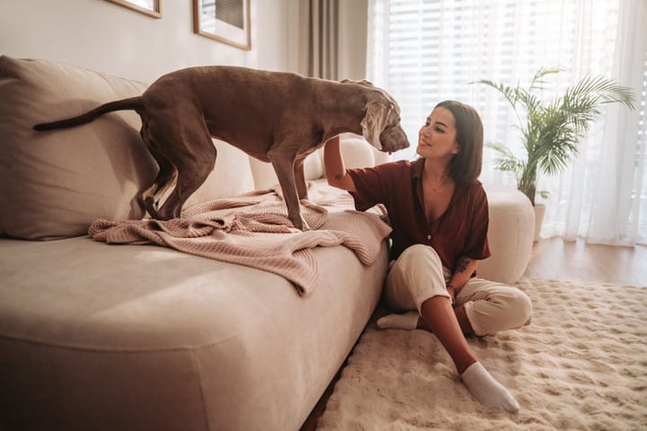 Morning Warmth: A Woman's Tender Moment With Her Dog