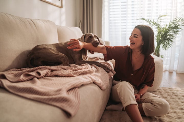 A Cozy Morning with Laughter and Furry Companionship