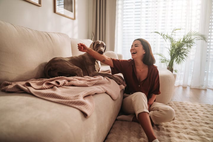 A Morning Filled with Laughter and Canine Companionship
