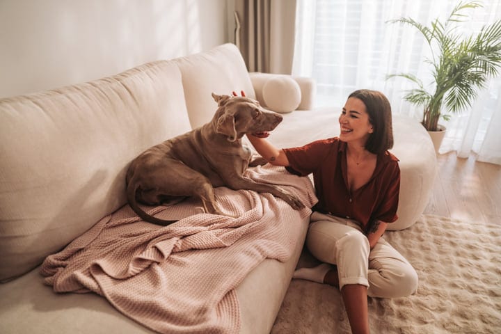 Morning Moments Of Joy With A Beloved Pet