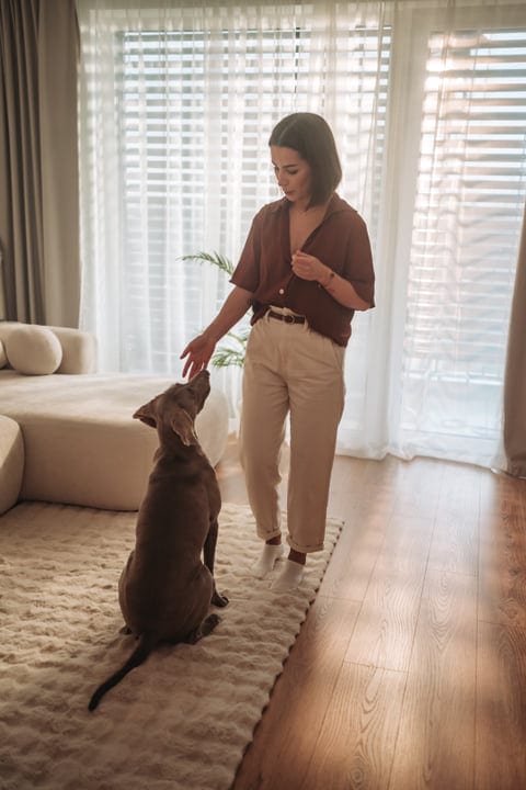 Young Woman Gently Pets Her Dog In A Bright Living Room Morning