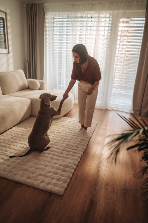 Sunlit Ritual: Morning Connection Between Woman And Her Dog