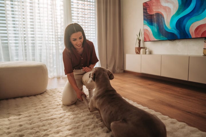 Morning Bonding: A Woman and Her Dog in Sunlit Comfort