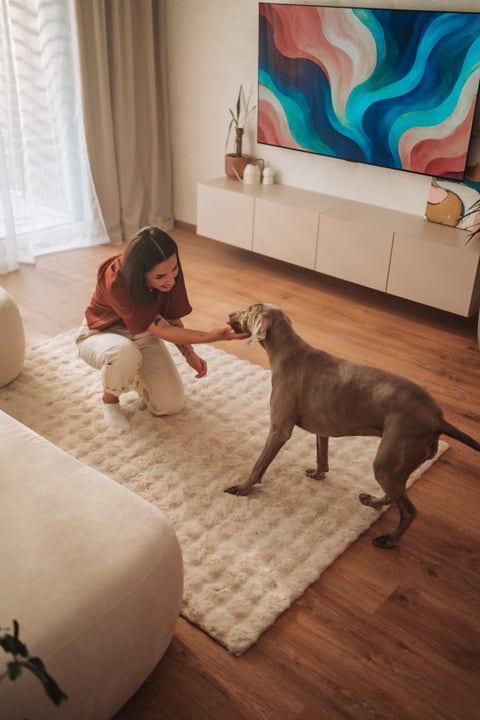 Young Woman Kneeling On A Rug Petting Her Dog In Modern Living Room