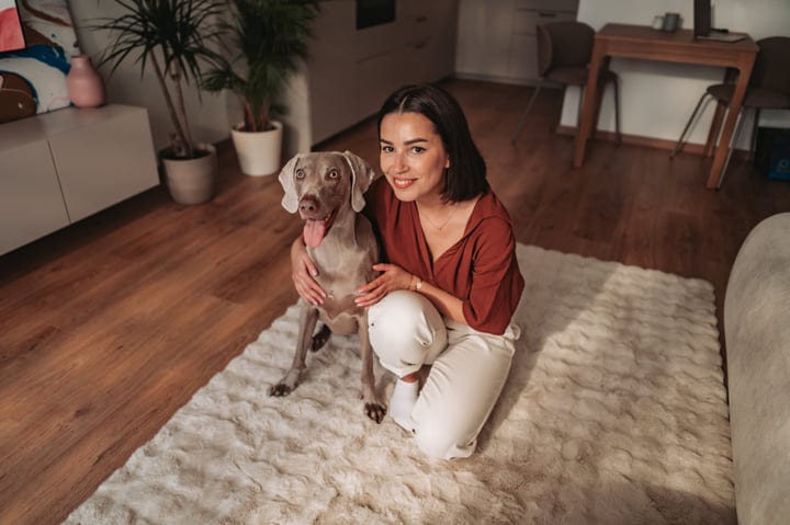 Smiling Young Woman Cuddling Weimaraner Dog On Fluffy Rug Inside Home Living Room
