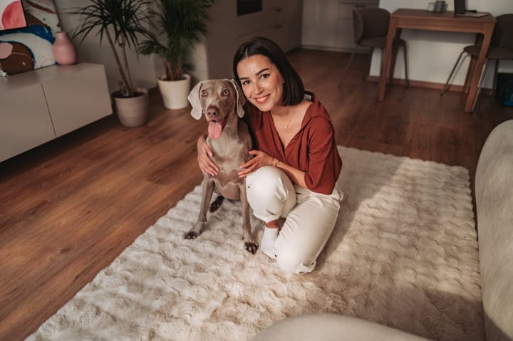 Young Woman Hugging Her Weimaraner Dog On A Fluffy Living Room Rug