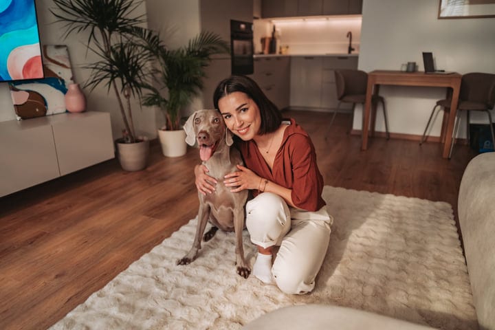 Young Woman Cuddles Her Weimaraner Dog On A Living Room Rug