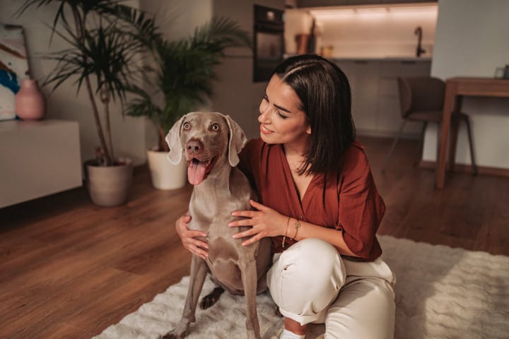 Young Woman Cuddling Happy Weimaraner Dog On Floor In Modern Home