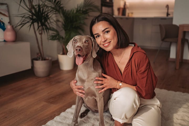 Woman Hugging Weimaraner Dog On Rug Indoors, Looking At Camera