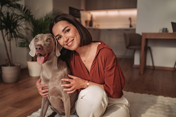 Smiling Young Woman Embraces Her Weimaraner Dog In A Modern Apartment