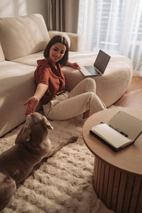 Young Woman Petting Her Dog While Working On Laptop At Home