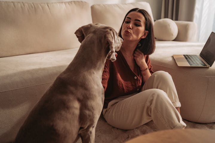 Woman Pouting Her Lips To Kiss Her Dog Next To A Laptop At Home