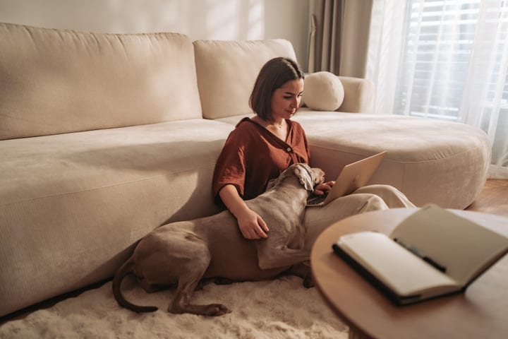 Woman Sitting On Floor Next To Sofa Petting Dog While Using Laptop