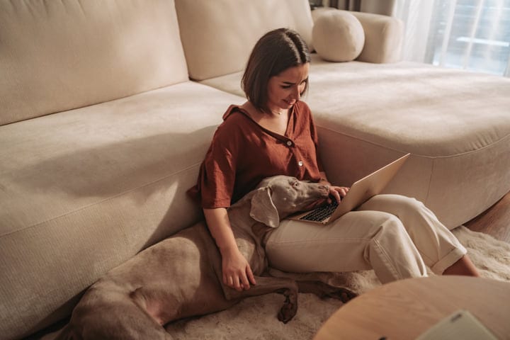 Young Woman Works On Laptop With Her Weimaraner Dog In Bright Living Room