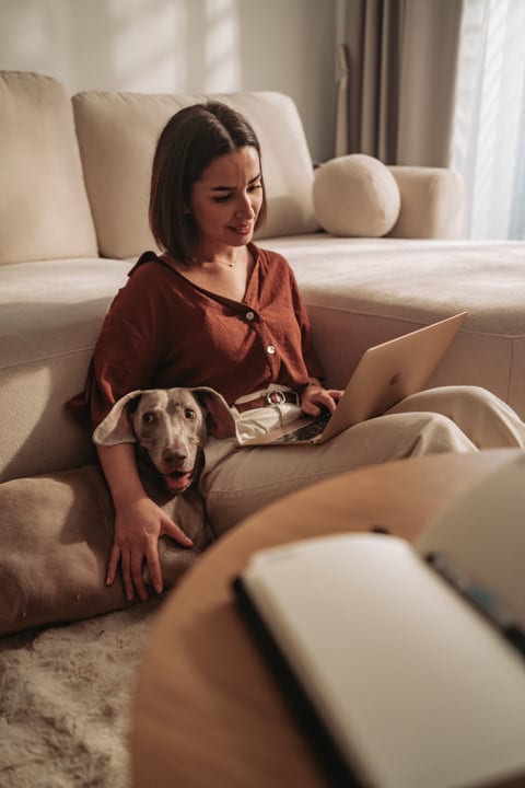 Woman And Her Weimaraner Dog Relaxing On Sofa While Working On Laptop