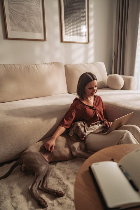 Woman Works On Laptop With Her Dog In A Bright Living Room