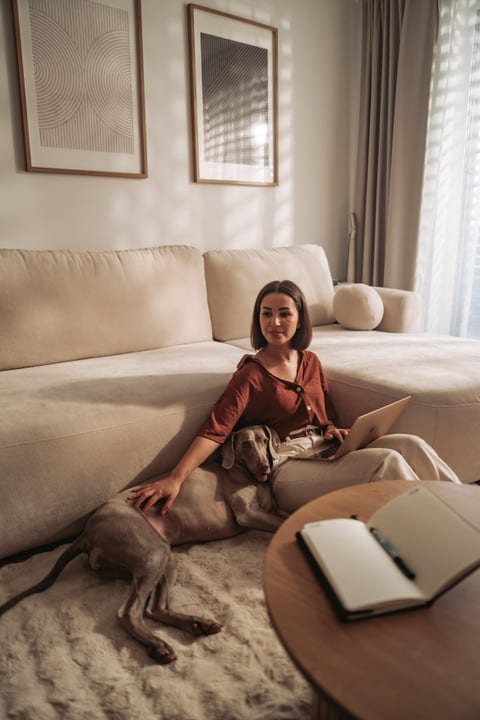 Young Woman Pets Her Dog While Working On Laptop In A Cozy Living Room