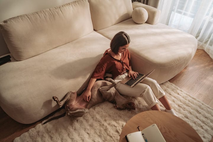 Young Woman Working On Laptop With Dog On Couch In Living Room