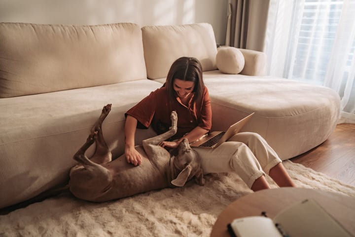 Woman Gently Petting Her Dog And Using Laptop On A Cozy Rug