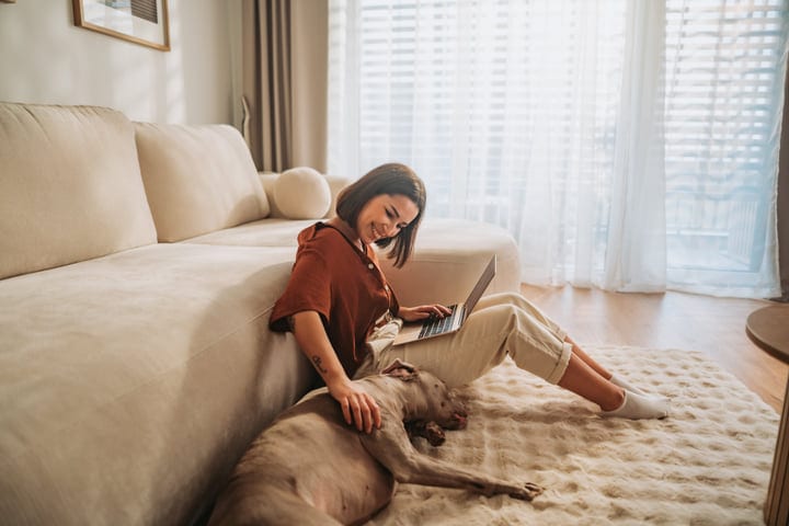 Woman Working On Laptop With Dog In Cozy Living Room
