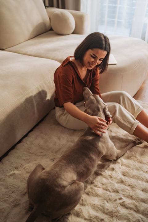 European Woman Enjoys Morning Moments Petting Her Dog In Cozy Home