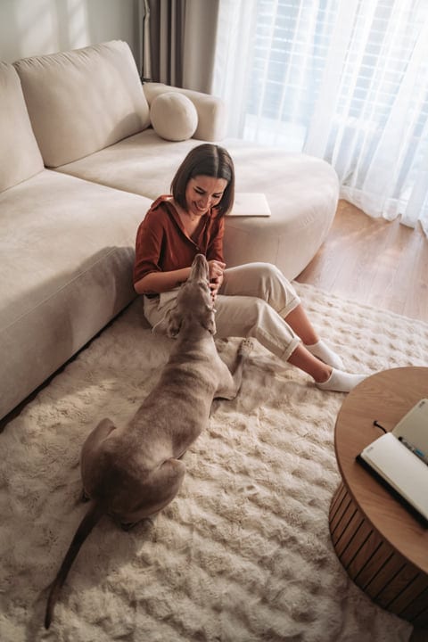 A Cozy Morning Ritual with a Beloved Pet